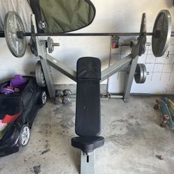 FREE MOTION EPIC INCLINE BENCH PRESS 