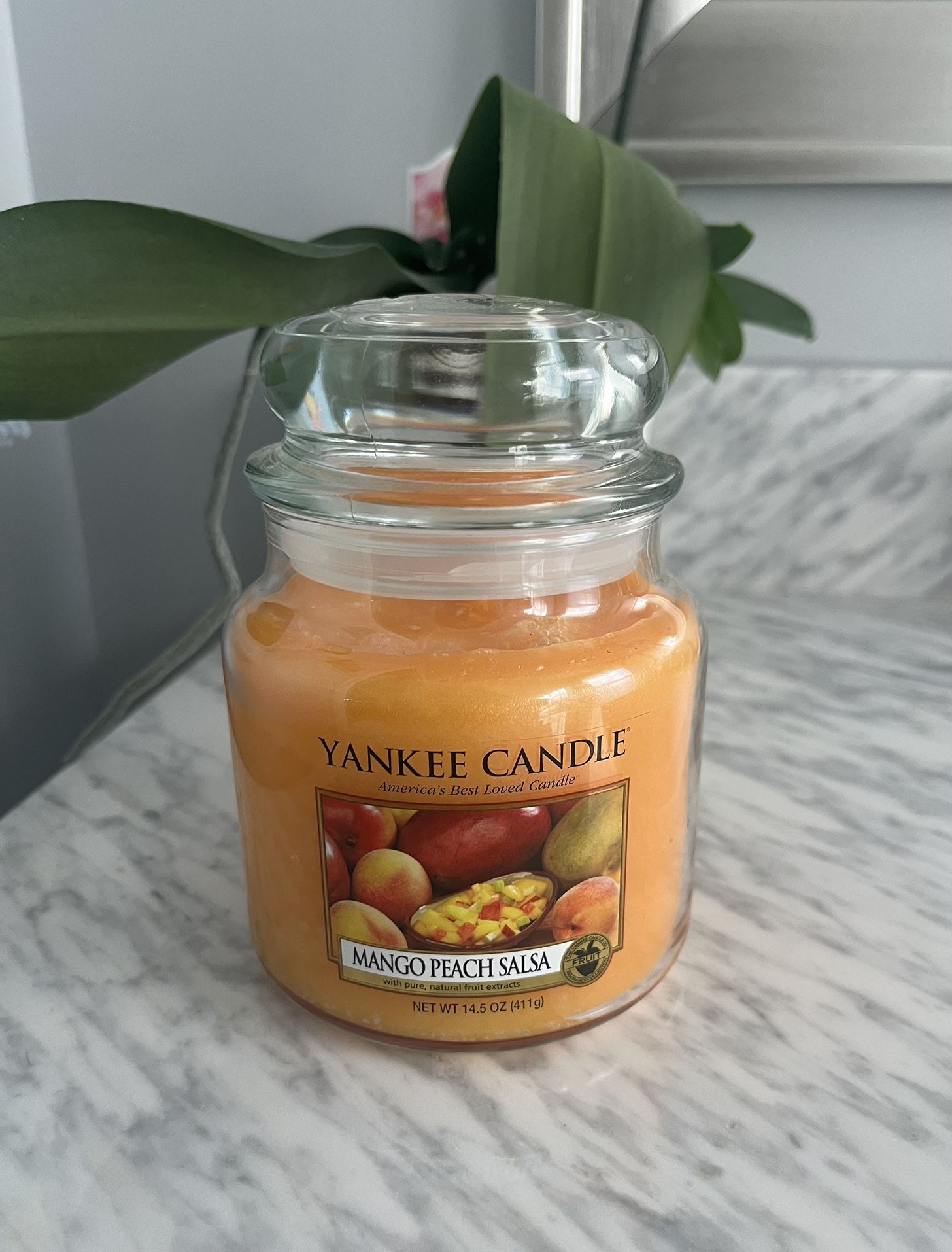 Mango Peach Salsa Medium Jar Candle New