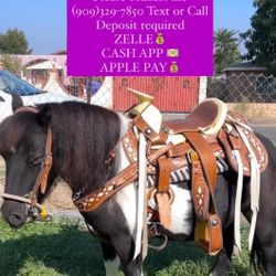 Saddle Up Mini Pony 