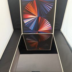 Apple IPad Pro 5th Generation 2TB with WIFI