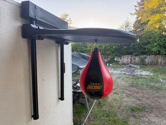 Arcade Alley Speed Bag with Door Mount