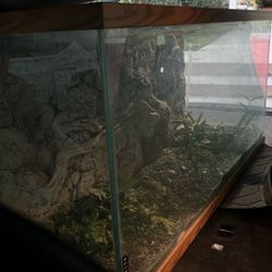 80 Gallon Tank - Thick Glass
