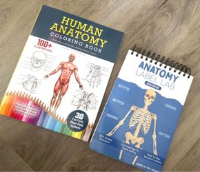 Human Anatomy coloring / dry erase books