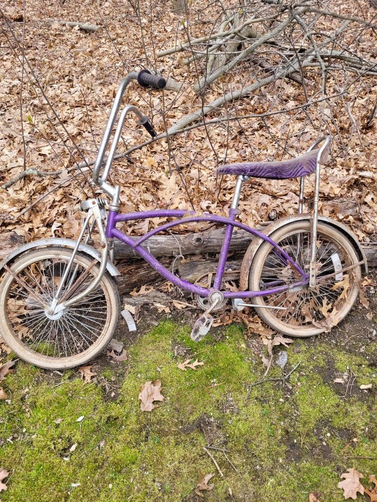 Lower Rider Bicycle