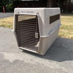 Large Pet Kennel