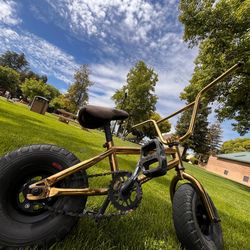 Mini BMX bike professional