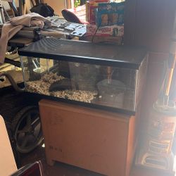 Fish Tank