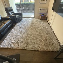 Silver Gray Area Rug and Rug Pad