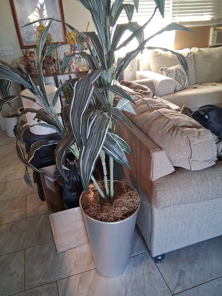 Fake Plant