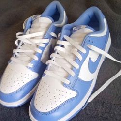 Nike Polar Blue Dunks 