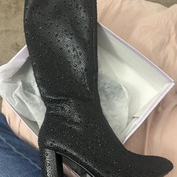 Sparkly Boots 