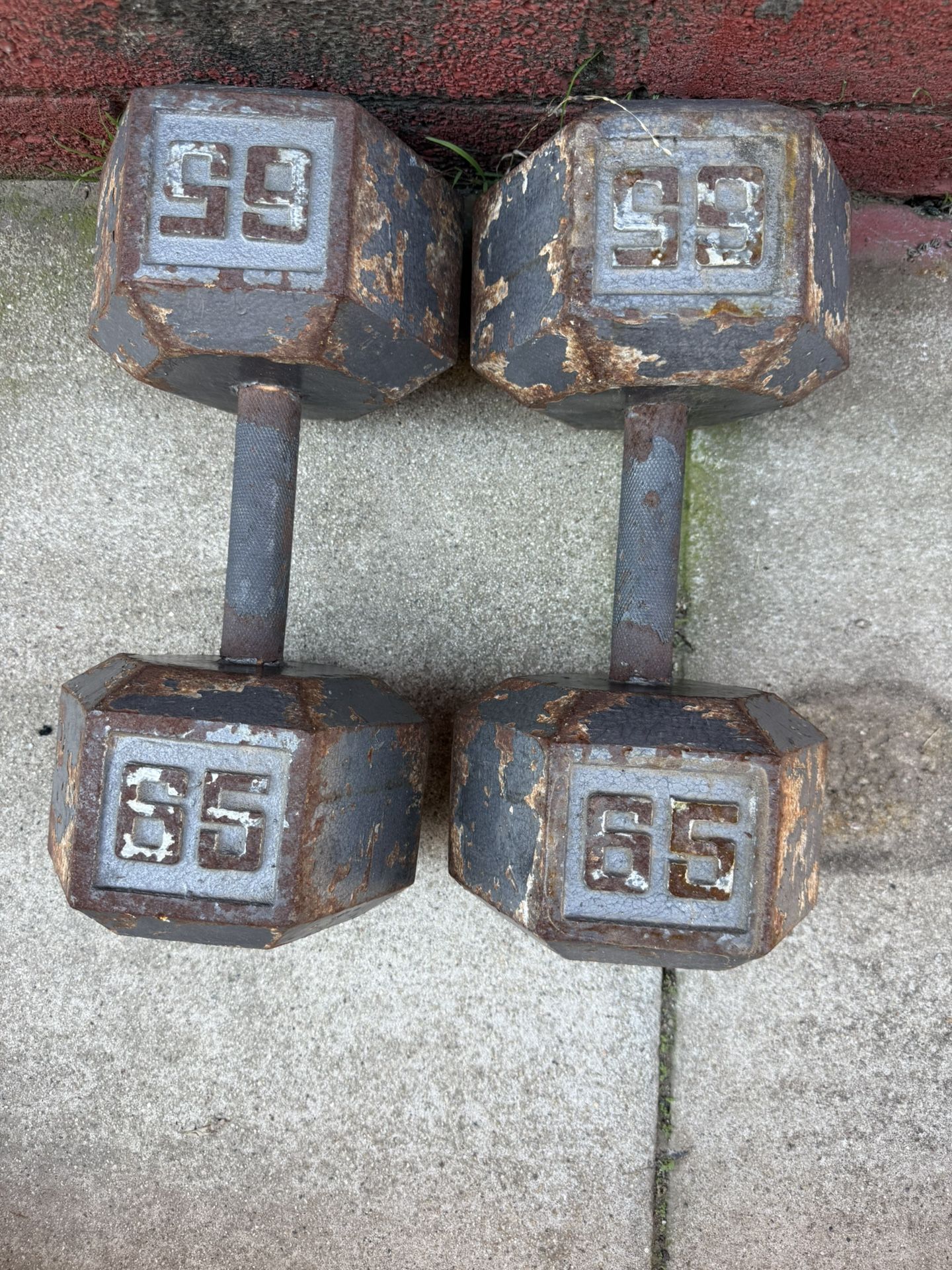 65 Lbs Dumbbell Weights 