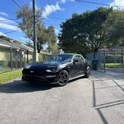 Mustang Eco Premium 2023 