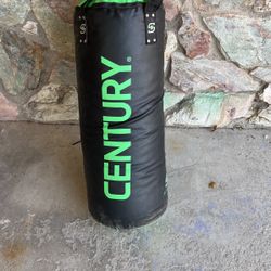 40lbs Punching Bag 