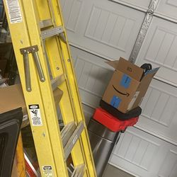6 Foot Ladder 