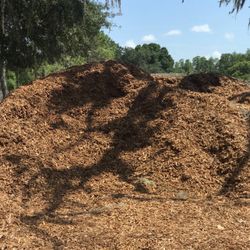 Free Clean Mulch Delivered -P Harbor ,Dunedin , Clrw Only