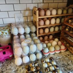 Fresh Chicken and Duck eggs