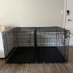 $50 each for XL dog kennel 