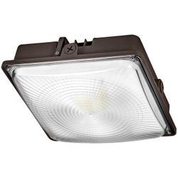 6500 Lumens - 50 Watt - 5000 Kelvin - LED Canopy Fixture