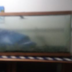Aquarium 45gl