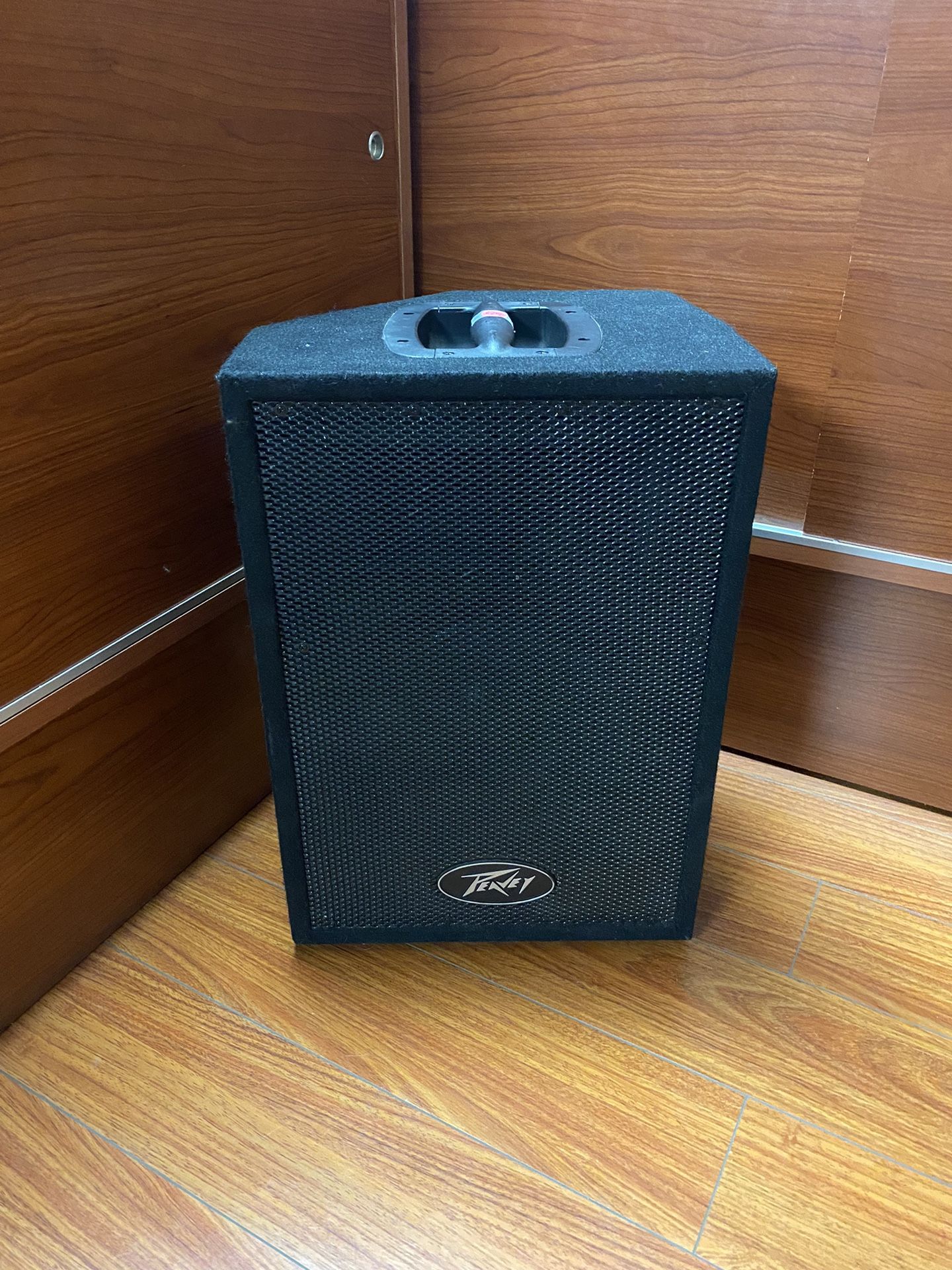 Peavey PVi 10 Speaker
