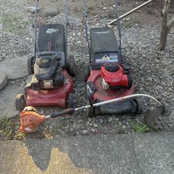 Lawn mowers and weed eater