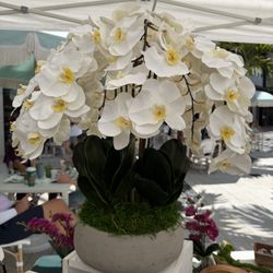 Premium white faux Orchids 