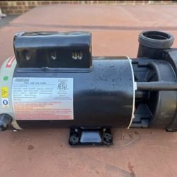 Watkins Pool and Spa Pump