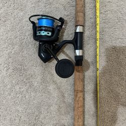 PENN Pursuit IV 5000 With A Tsunami Sea Tech Rod