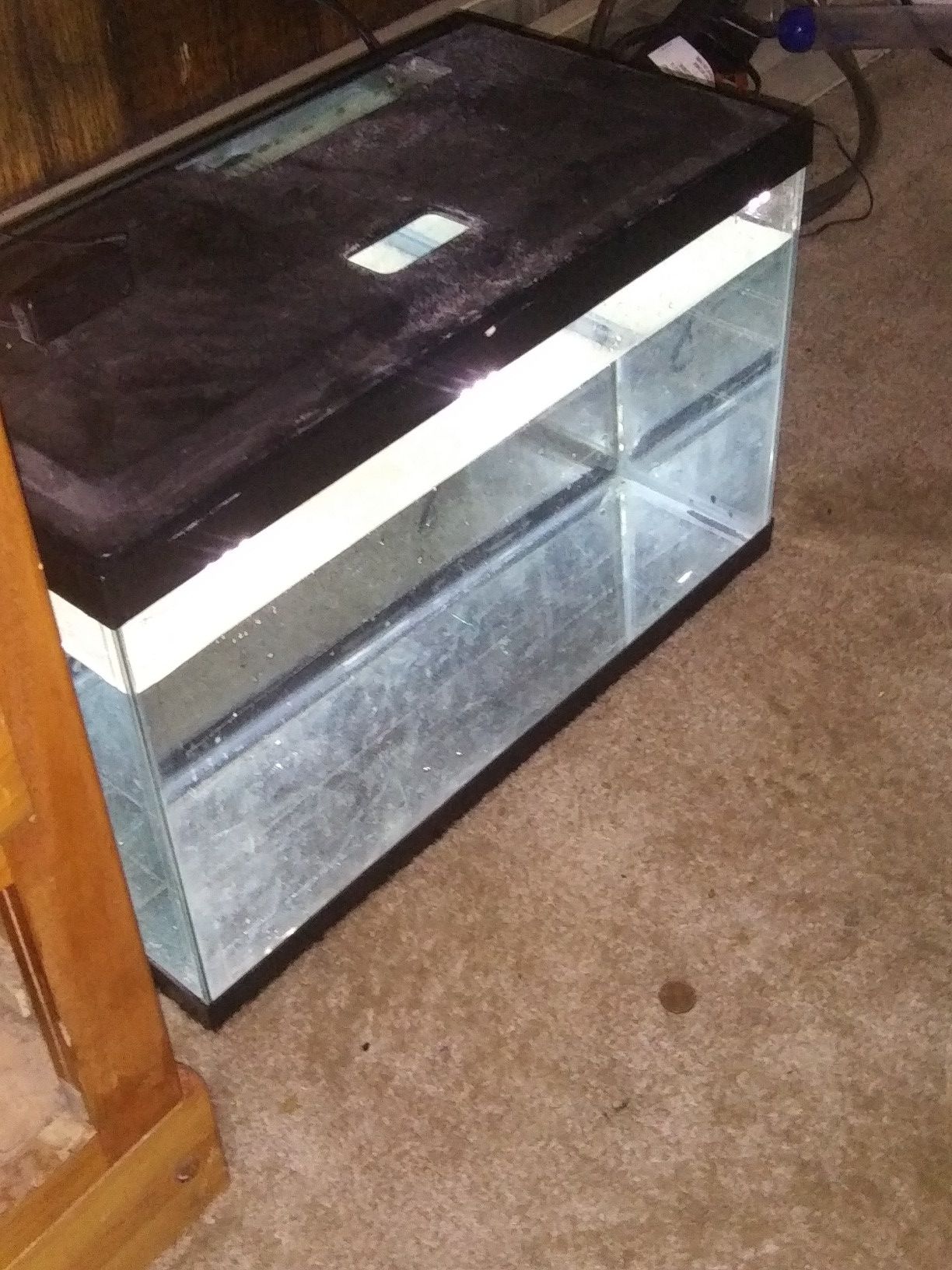 Aquarium
