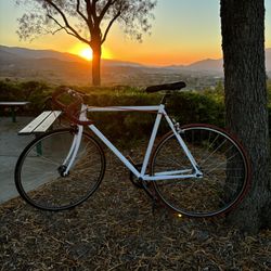 2009 Windsor The Hour Single Speed/Fixed Gear Road Bike