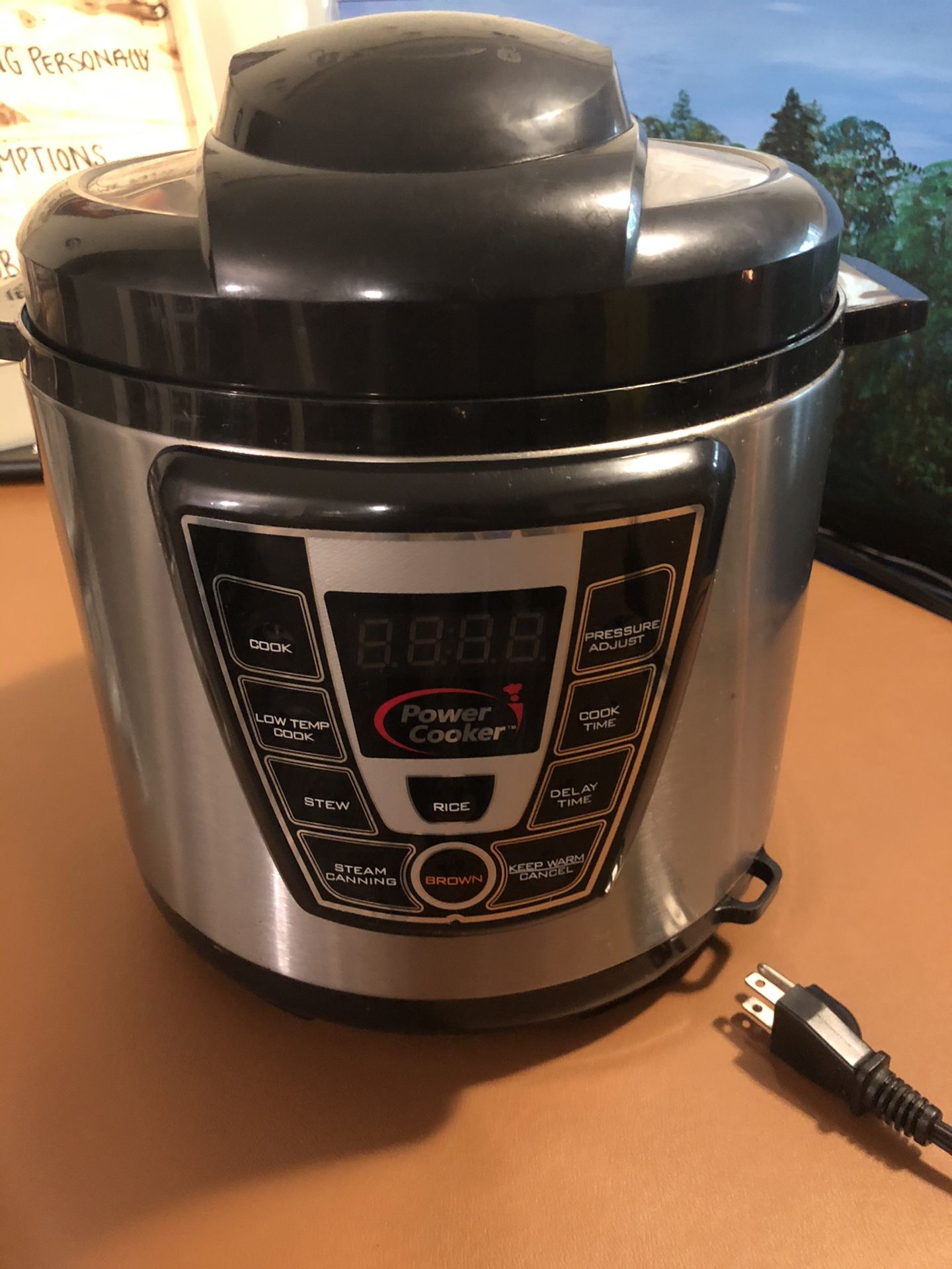 Pressure cooker / crock pot