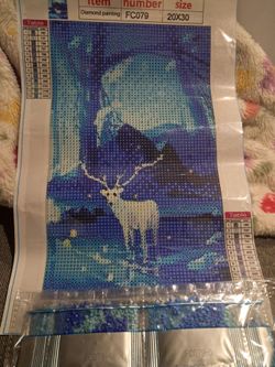 Diamond Painting Kit FC079 20x30