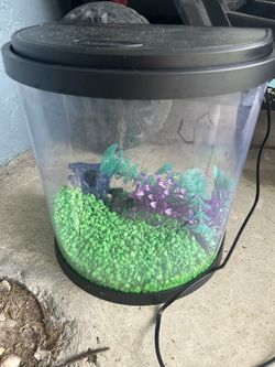 3-5 Gallon Fish tank