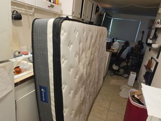 Free queen size matress