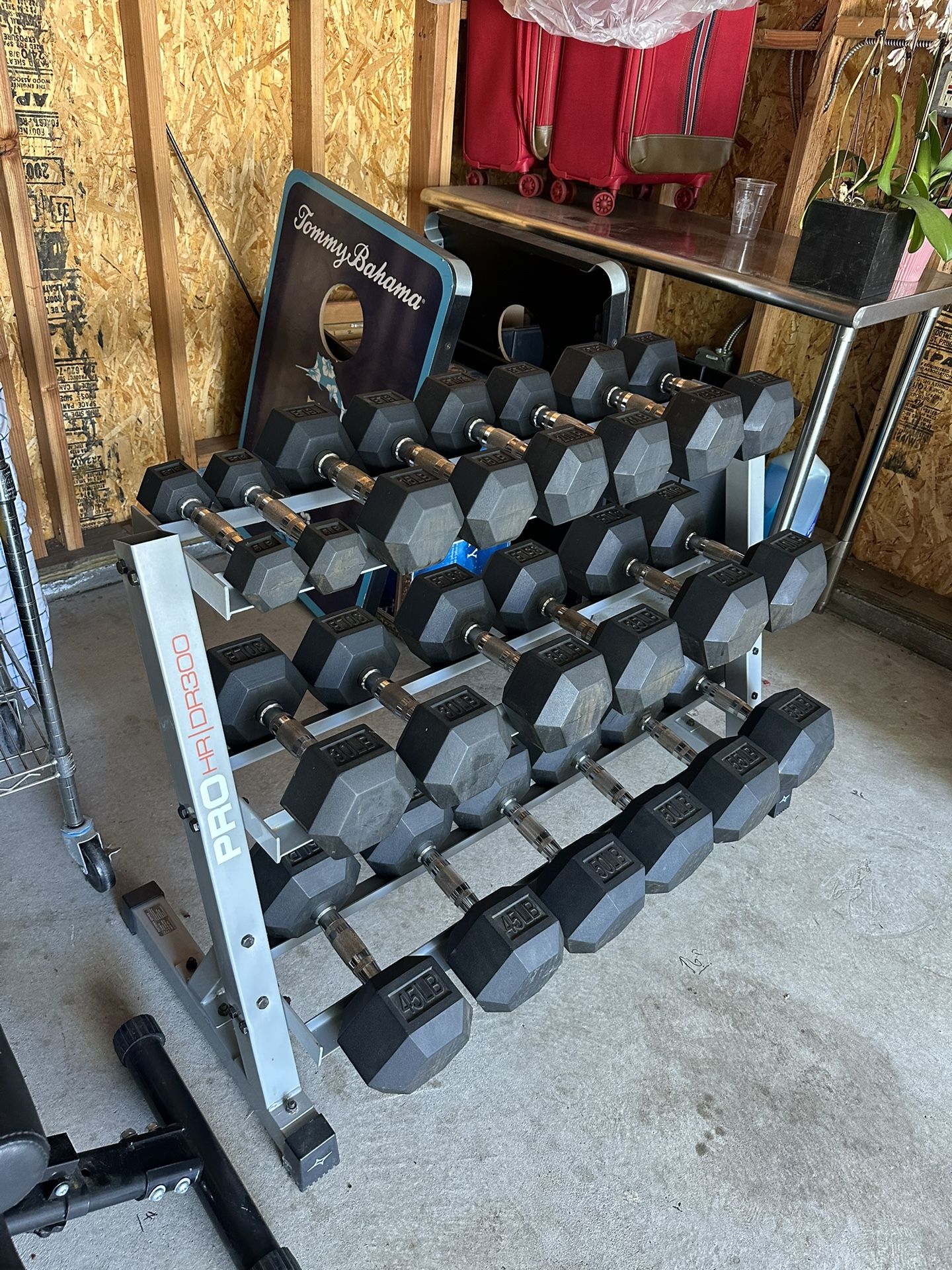 Dumbbell Set with Weight Rack