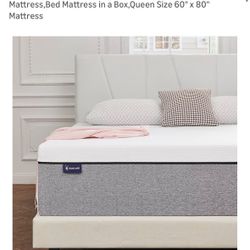 Queen Mattress & Bed Frame