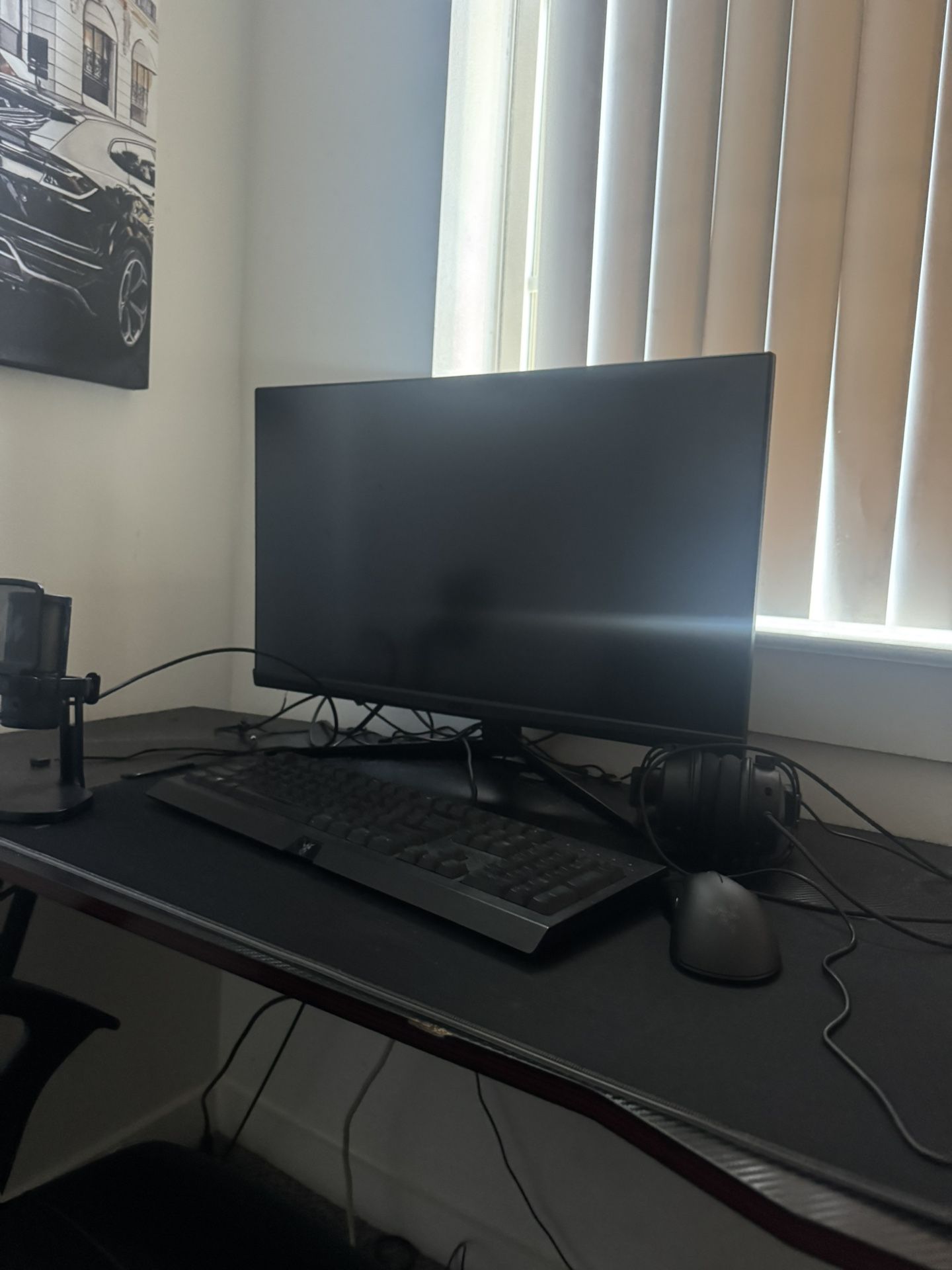 MSI Gaming Monitor