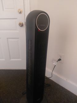 Fan