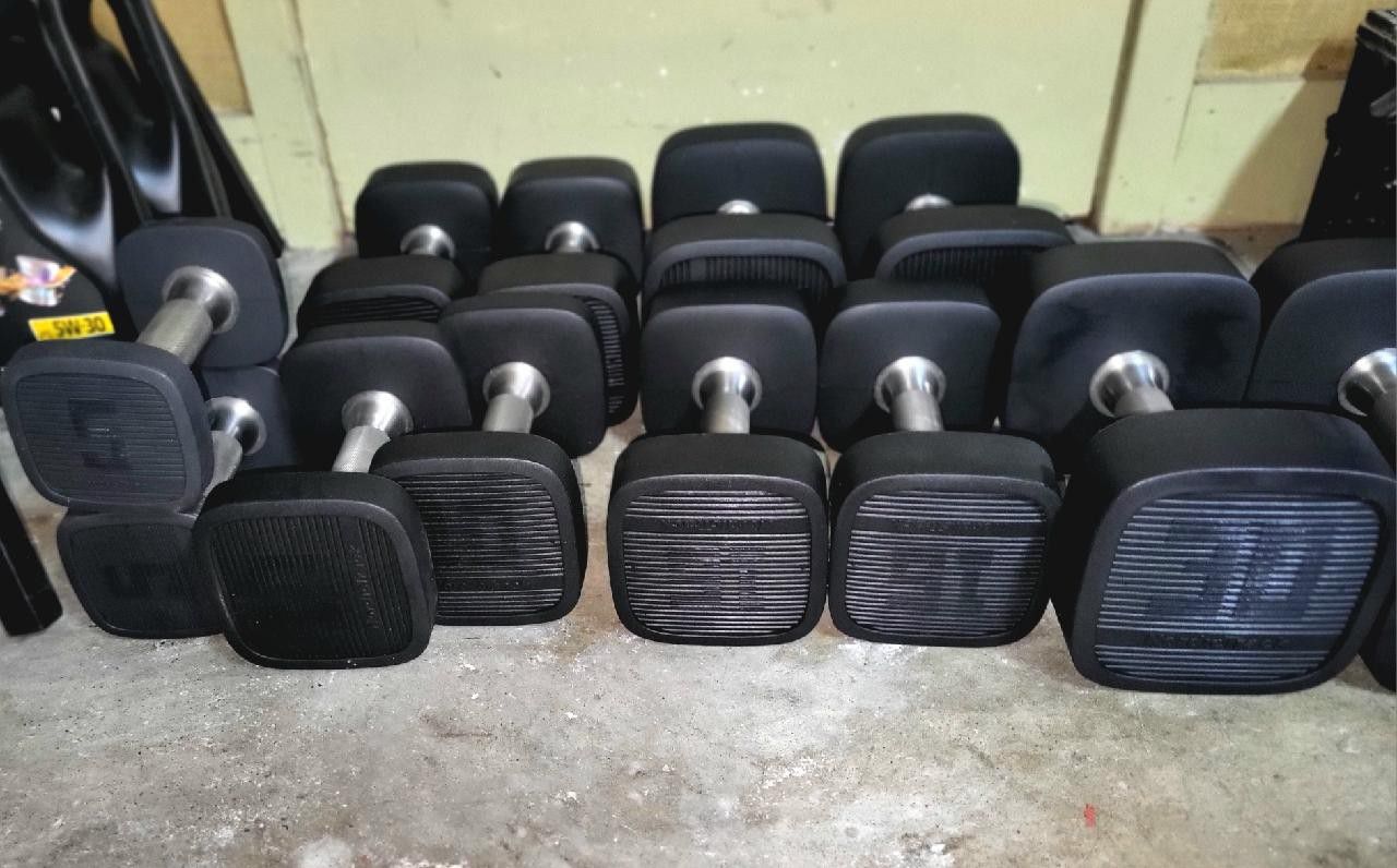Nordictrack  Dumbbell Weights