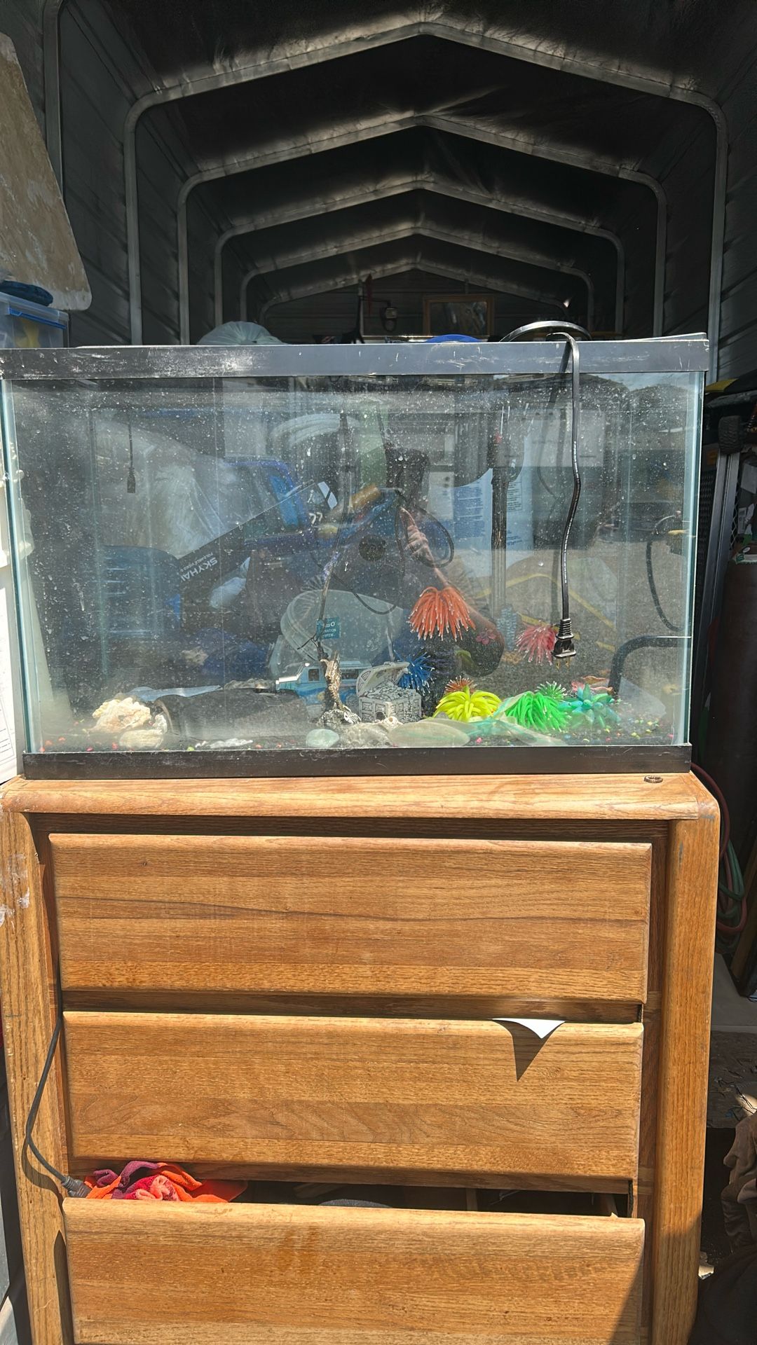 Fish Tank