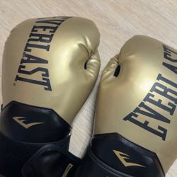 Everlast Boxing Gloves