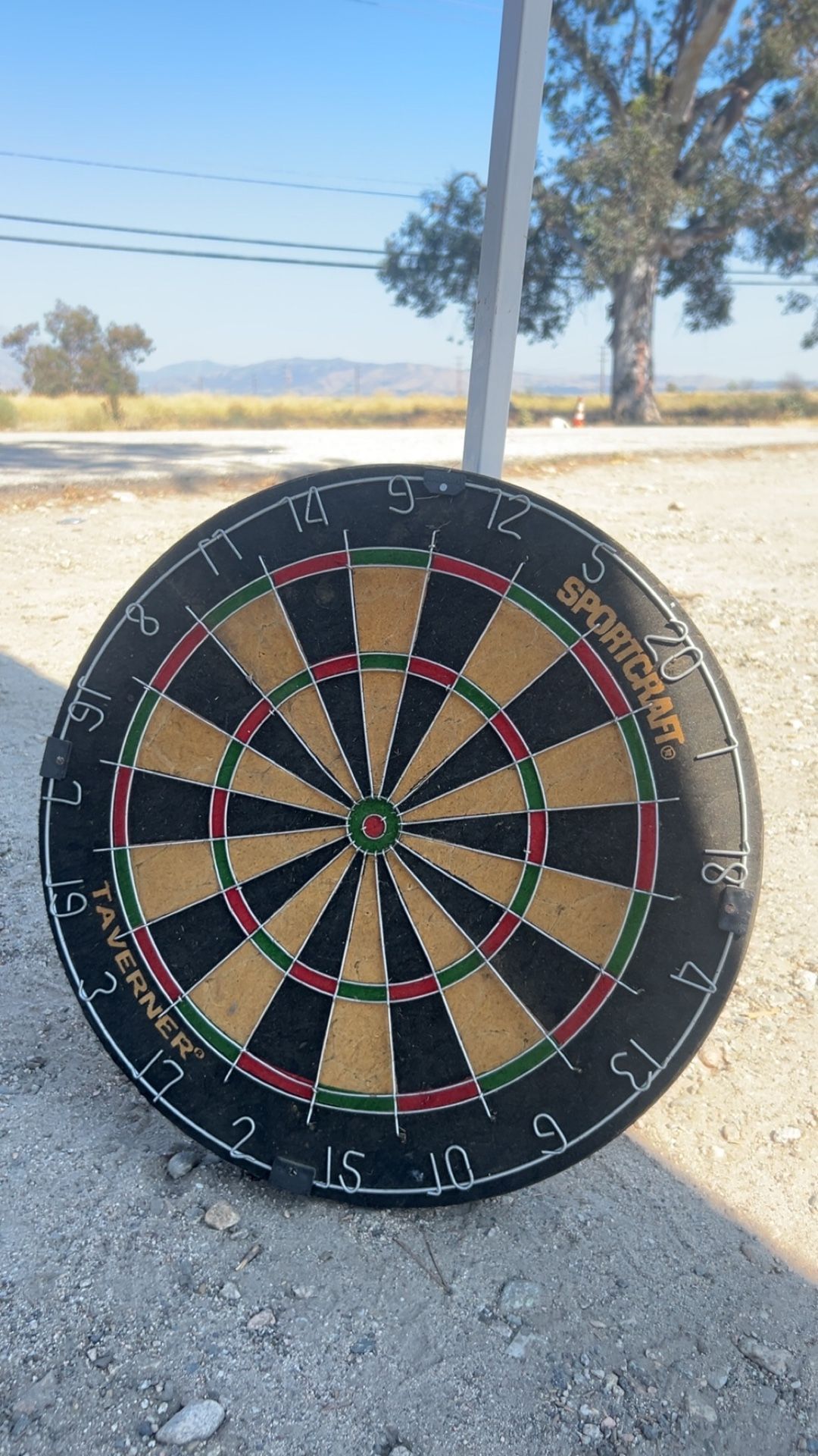 Dart Game Board