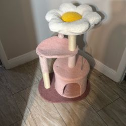 Cat Cottage 