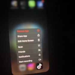 iphone 12 mini with tiktok