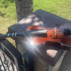 Violin By Maestro
