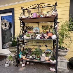 Bakers Rack Loaded With Plants 