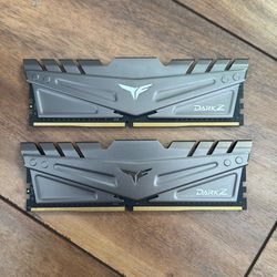 16 Gigs 3000 T-Force Teamgroup RAM