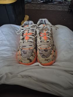 Lamelo Shoes 