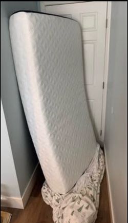 Cocoon by Sealy Mattress - full size, hardly used.